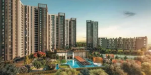 Prestige Evergreen